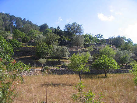 ibiza_0479_third