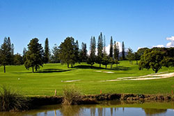 golfclub_43129837_quarter