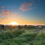 Colorful sunrise in may