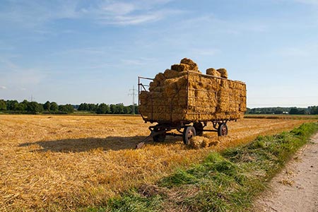 Strohwagen mit Strohballen