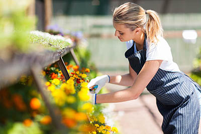 florist working in nursery